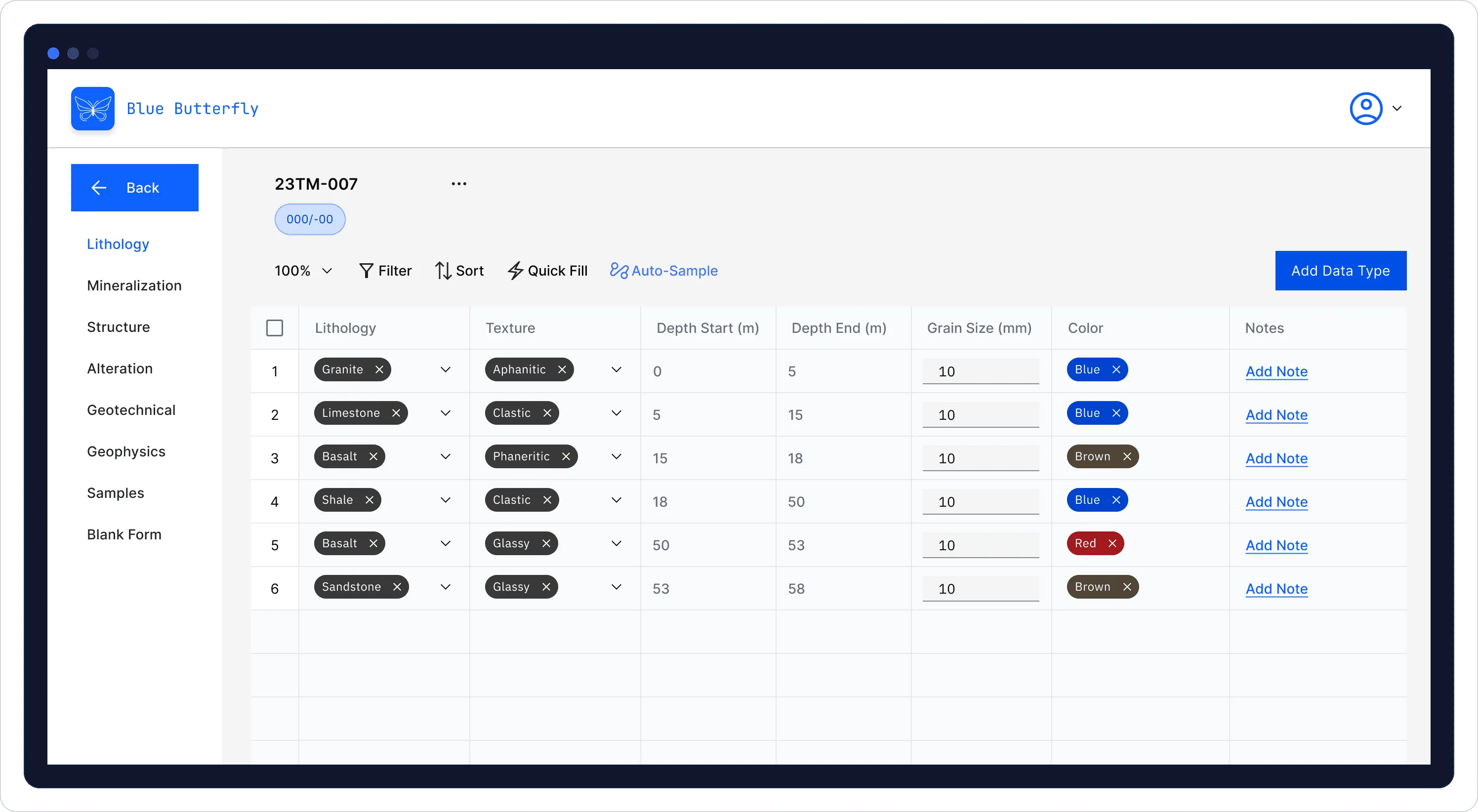 Lithology logging table showing structured data entry